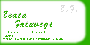 beata faluvegi business card